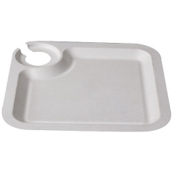 Assiette cocktail en pulpe 210 x 210 mm - par 25